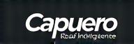 Logo de Capuero Road Intelligence